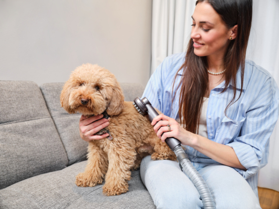 Tyčový vysávač ETA Terier 5247 90000 hnedý