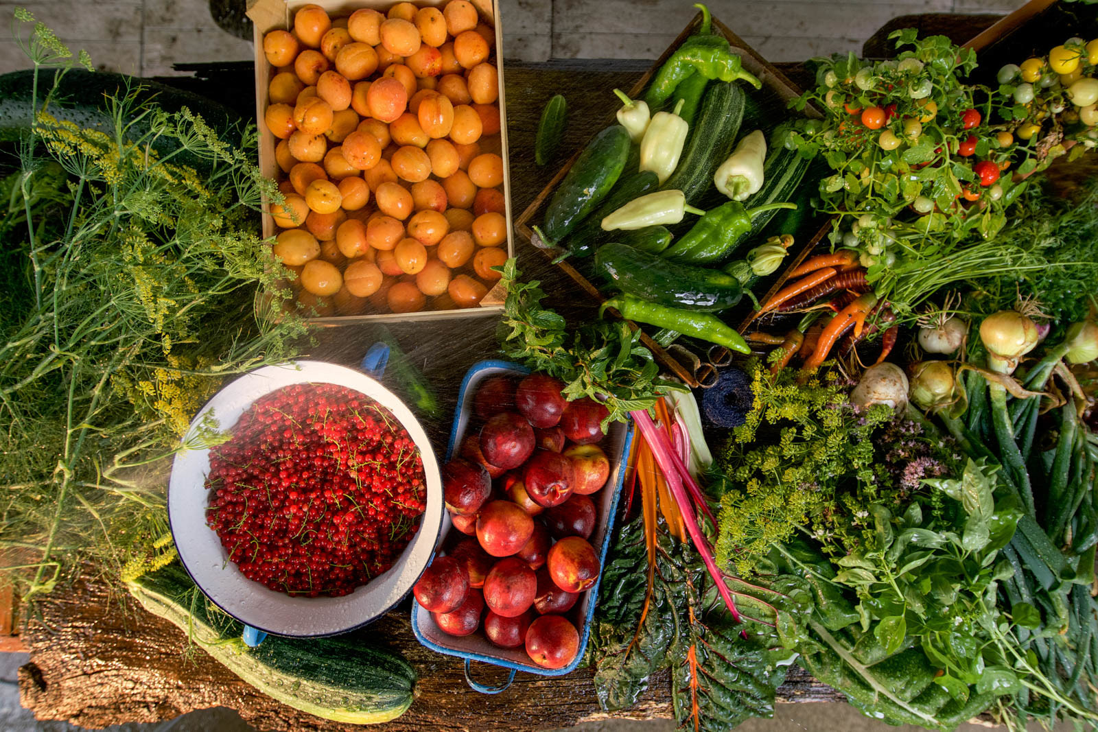 Rýchle a zdravé šťavy z…